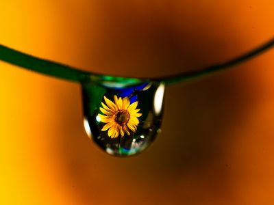 Macro shot of water droplets reflecting warm yellow light